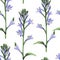 Watercolor style floral pattern, delicate flower wallpaper, violet bells.