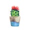 Watercolor succulent in a flowerpot. on a white backgro