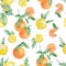 Watercolor summer collection fruits branch, lemons, orange and slice set. Hand painted  fruit on branch with slice isolated on whi