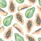 Watercolor summer exotic fruit pattern tropical fruits. Hand painted exotic coctails on white background. Papaya - summer tropical