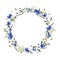 Watercolor summer floral wreath with blue white wildflowers isolated