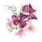 Watercolor summer flowers, violet floral greeting card. Oxalis botanical illustration