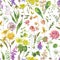 Watercolor summer meadow flowers, wildflowers seamless pattern