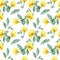 Watercolor summer seamless pattern of Horned Poppy yellow flowers