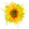 Watercolor sunflower. Vector