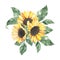 Watercolor sunflowers bouquet with green leaves isolated