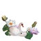 Watercolor swan and baby with waterlilies Mother child Cute For Mother's day 2024 baby decor 2024 posters Cub Young