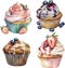 Watercolor sweet collection of glazed jam cupcakes with berries, on white background.