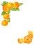 Watercolor tangerine frame. Hand drawn citrus angle border with oranges, slices and leaves. Fruit vertical template for