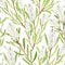 Watercolor tea tree leaves, flowers seamless pattern. Hand drawn botanical illustration of Melaleuca. Green medicinal plant