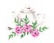 Watercolor teapot with wild rose flowers isolated