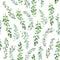 Watercolor Thyme pattern seamless, green rosemary decoration, craft label design bio food