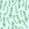 Watercolor Thyme pattern seamless, green rosemary decoration, craft label design bio food