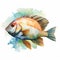 Watercolor Tilapia Clipart With White Background