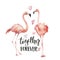 Watercolor Together forever card. Hand painted Flamingo couple with hearts and lettering isolated on white background