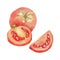 Watercolor of tomato. Clipping path included.
