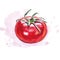 Watercolor tomato with colored spot