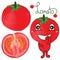 Watercolor tomato mascot