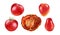 Watercolor tomatoes. Ripe red fruits set of five. Sun dried tomato slice. Realistic botanical clipart with fresh