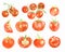 Watercolor tomatoes set.