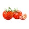 Watercolor tomatoes and sliced tomato vegetables isolated