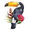 Watercolor toucan