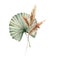 Watercolor tropical bouquet with dry leaves and pampas grass. Hand painted exotic composition with leaves isolated on