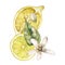 Watercolor tropical card of blooming flowers and ripe lemons. Hand painted branch of fresh fruits and leaves isolated on