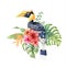 à¸ºWatercolor tropical Great hornbill in Hibiscus bouquet.