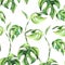 Watercolor tropical green leaves seamless pattern. Summer greenery wallpaper