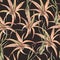 Watercolor tropical leaves seamless pattern. Air plant Tillandsia botanical texture. Succulent terrarium plants