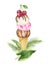 Watercolor tropical leaves and waffle cone with chocolate, vanilla and fruit ice cream decorated with cherries.