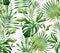 Watercolor tropical seamless pattern. Exotic palm leaves, monstera, coconut isolated on white. Botanical hand drawn