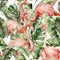 Watercolor tropical seamless pattern with pink flamingo and banana leaves. Hand painted birds and jungle palm leaves