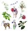 Watercolor tropical set of alpaca, ostrich and cartoon llama with pasque-flower, peony, orchids and iris.