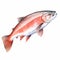 Watercolor Trout Illustration: Hyper-realistic Animal Clipart