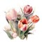 Watercolor Tulips Bouquet on White Background. A Stunning Artistic Creation. Generated AI.
