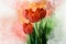 Watercolor tulips. Hand drawn watercolor flowers perfect for design greeting card or print