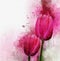 Watercolor tulips. Hand drawn watercolor spring flowers perfect for design greeting card or print