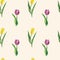 Watercolor tulips seamless pattern. Purple and yellow tulip flowers on pink background. Spring botanical repet print. Hand drawn