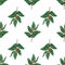 watercolor twig small green leaves with red berries seamless pattern on white background. Holly december merry christmas. Green