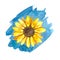 Watercolor Ukrainian sunflower on blue background.