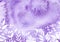 Watercolor ultraviolet, purple abstract background with washes vector illustration