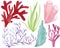 Watercolor underwater collection, colorful seaweeds, corals isolated on white background. For various summer products.