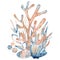 Watercolor underwater floral bouquet with corals and shells, hand drawn illustration