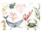 Watercolor underwater life set. Hand painted coral reef, whale, crab, seahorse and laminaria isolated on white