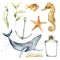 Watercolor underwater set. Hand painted whale, laminaria, anchor, starfish, seahorse and bottle isolated on white