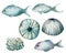 Watercolor underwater set of shells, fishes and urchin. Hand painted sea elements isolated on white background. Aquatic