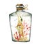 Watercolor underwater world in the glass bottle. Hand painted seahorse, corals and laminaria illustration isolated on