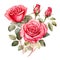 Watercolor Valentine Clipart pink roses. Ai Generate
